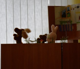 11b.jpg