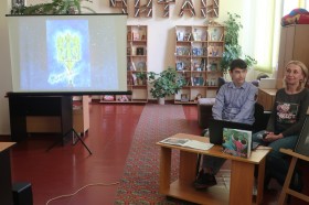 11b.jpg